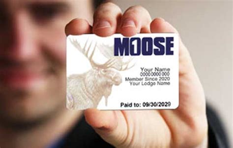 dp; td. . Moose lodge lost membership card